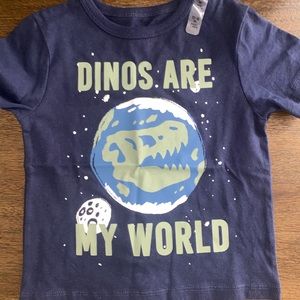 Boy Dino T Shirt